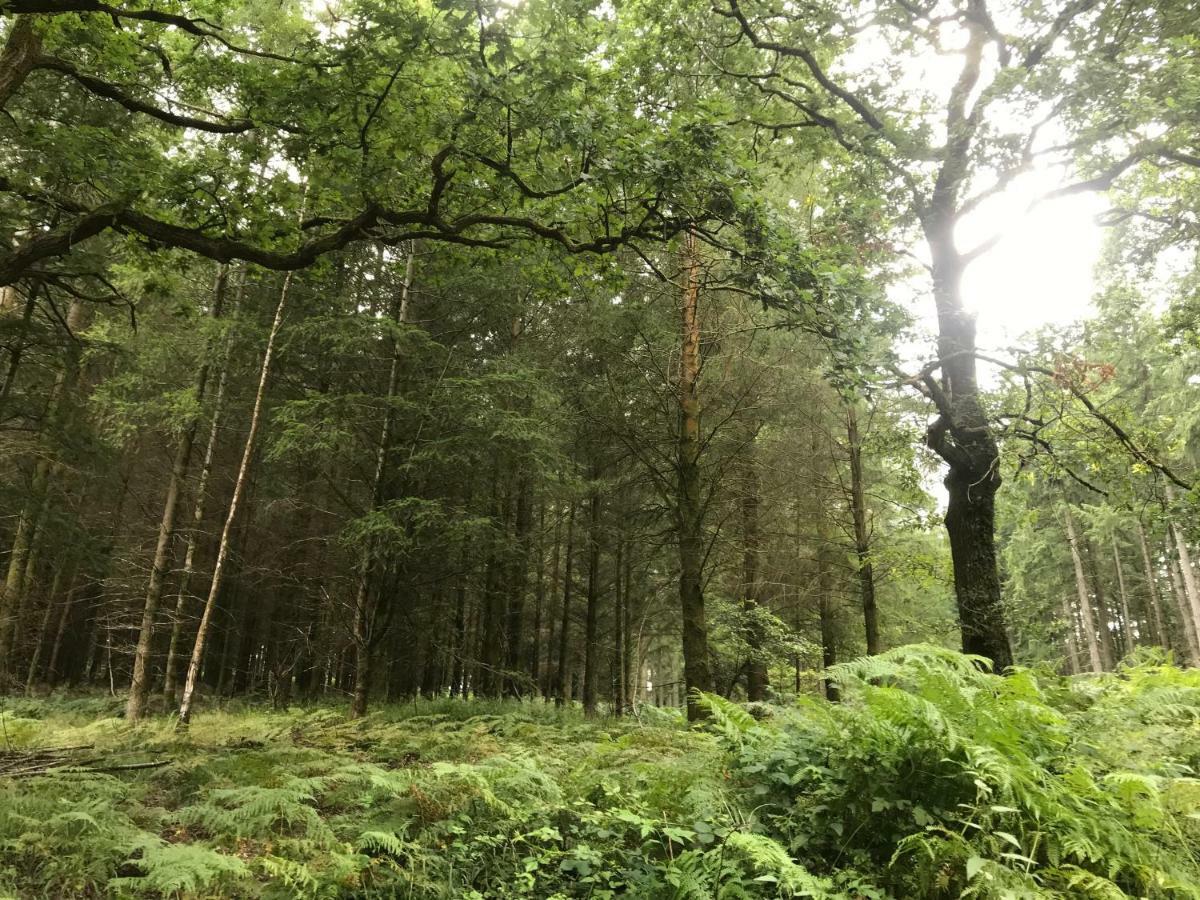 Bream Old Co Op House -Forest Of Dean מראה חיצוני תמונה